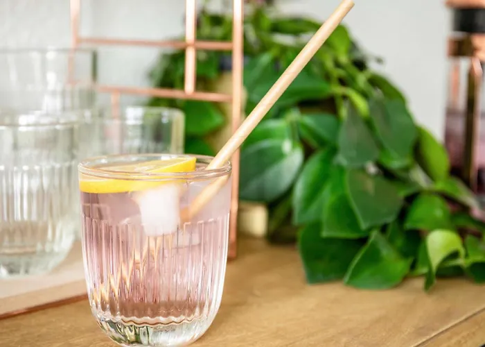 Ibis La Cite Des Sciences 19eme 3*